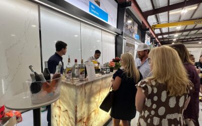 Omni Surfaces Houston: Where Stone Meets Service